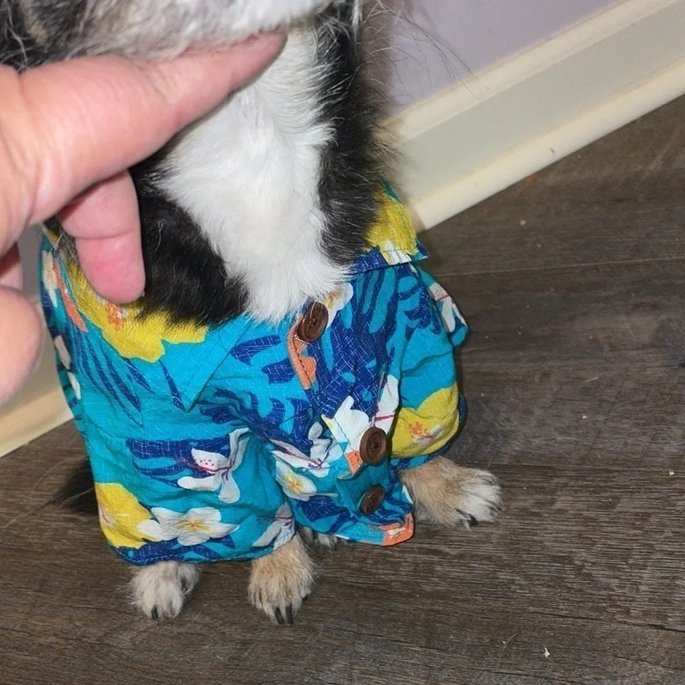 Top Paw Rayon Teal Floral Hawaiian Shirt size M dog